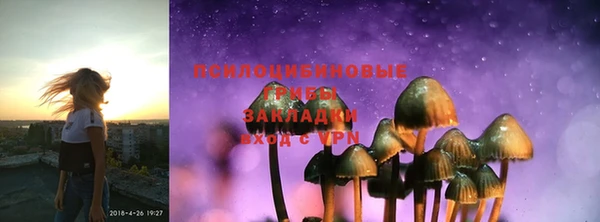 ГАЛЛЮЦИНОГЕННЫЕ ГРИБЫ Усмань