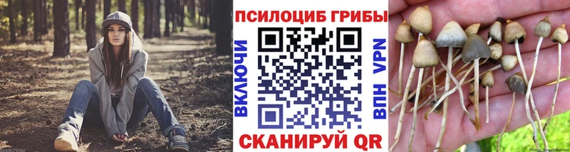 купить наркотики цена  Красково  Галлюциногенные грибы Magic Shrooms 